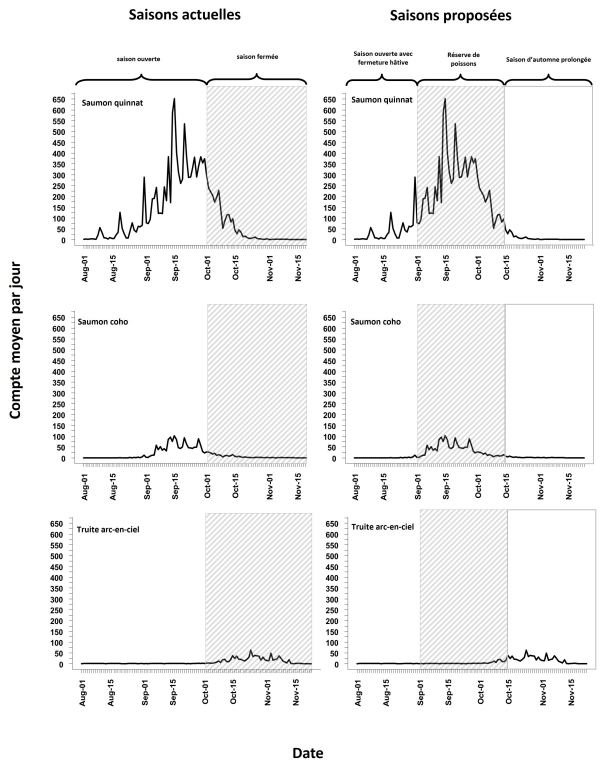 La figure 1 montre 7 années de données de passage du poisson recueillies au barrage et à la passe migratoire de Corbett de 2017 à 2023. Six graphiques illustrent le calendrier de migration du saumon quinnat, du saumon coho et de la truite arc-en-ciel durant les saisons de pêche sportive actuelles et proposées. Les graphiques montrent que les périodes de migration de pointe du saumon chinook et du saumon coho ont lieu en septembre durant la saison d’ouverture actuelle. En mettant en place le sanctuaire propo