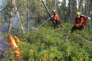 Two FireRangers in Personal Protective Equipment use a hose to apply water to a fire in a forested area.