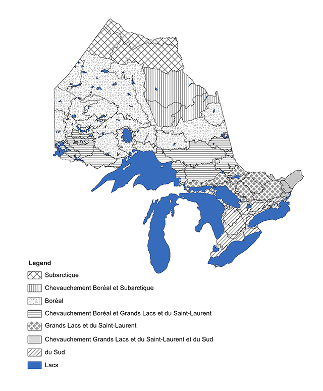 Une carte de l’Ontario indiquant les aires de répartition géographique utilisées pour déterminer le manuel approprié à consulter lors de la classification écologique des terres en Ontario.