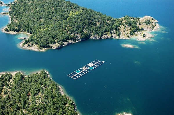 Vue aérienne d’un parc en filet en eau libre dans un lac bleu près de deux îles.