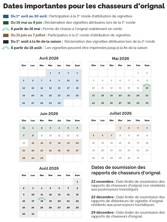 Calendrier de chasse à l'orignal 2026