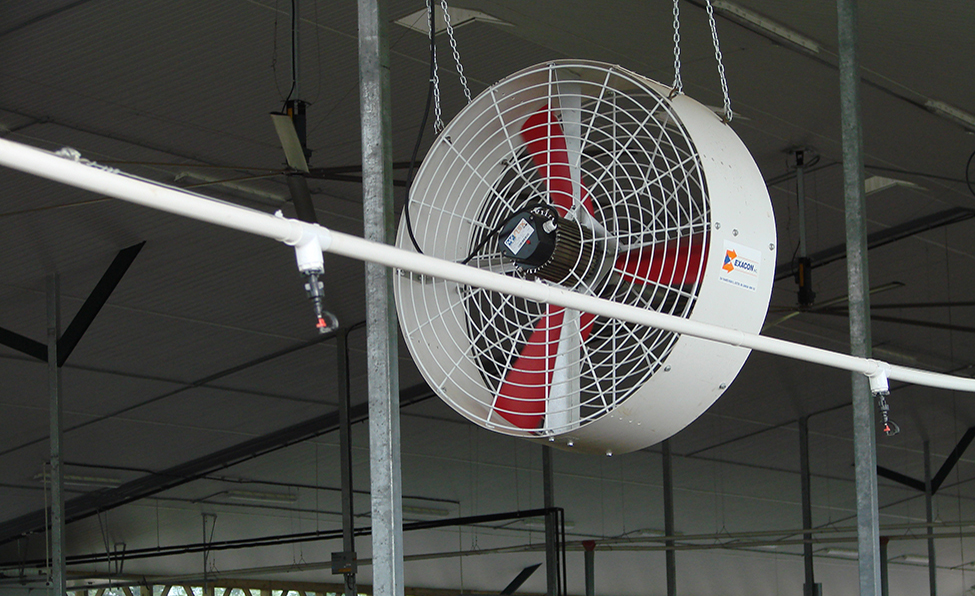Figure 12 shows a close up of sprinklers on a pipe in a dairy barn.