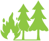 A green image of a forest fire. 
