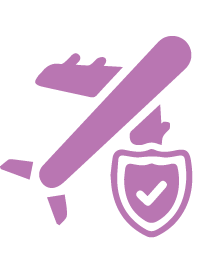 A purple outline of a plane with a checkmark