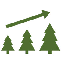 An illustrated icon of 3 trees at varying heights and a diagonal arrow above.