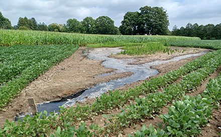 Dark, oily-looking fluid pooled in shallow channels across a farm field, which may indicate a leaking oil or gas well.