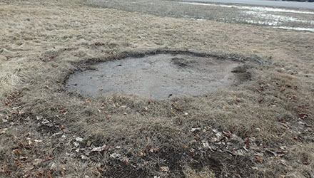 Uneven patches of grass that could indicate a well is present.