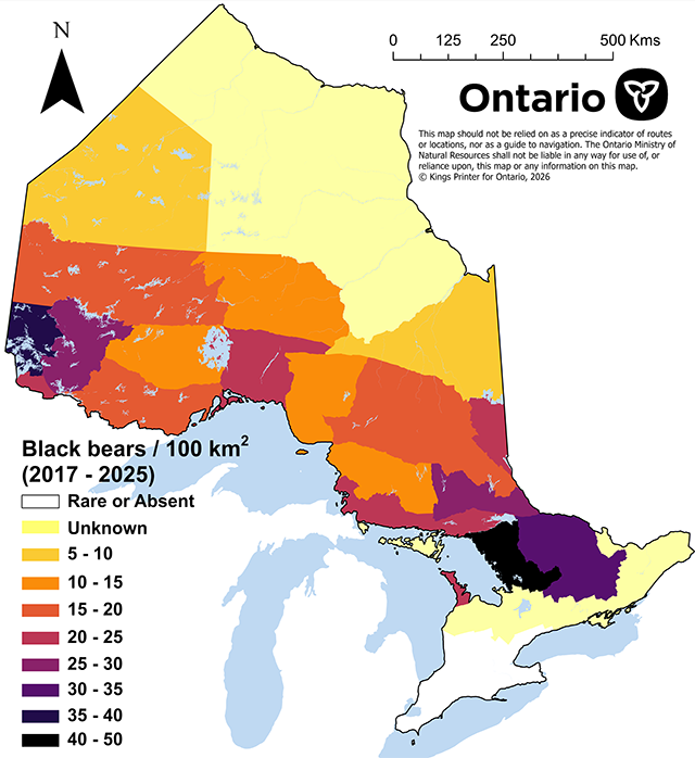 Map of regional densities of black bears in Ontario with the highest density of black bears east of Georgian Bay and the Lake of the Woods area in Northwestern Ontario. 